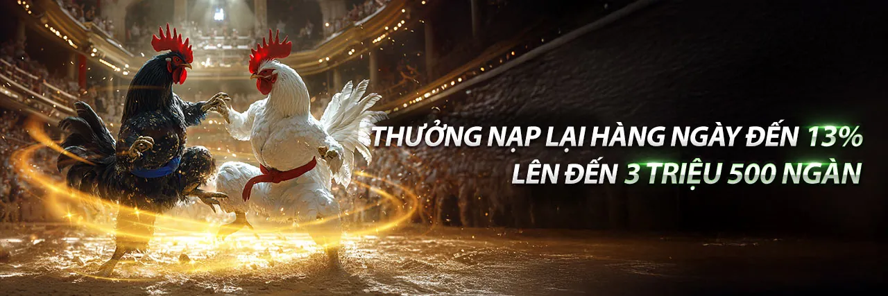 Đá Gà Trực Tiếp CPC3 3 8